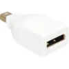 DeLOCK Adapter Mini DisplayPort Auf DisplayPort